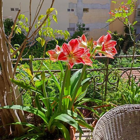 Cuba'S Art House Lägenhet Palermo Exteriör bild